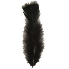 Plumas negras de 10 cm 50 unidades 8003558049707 0497B