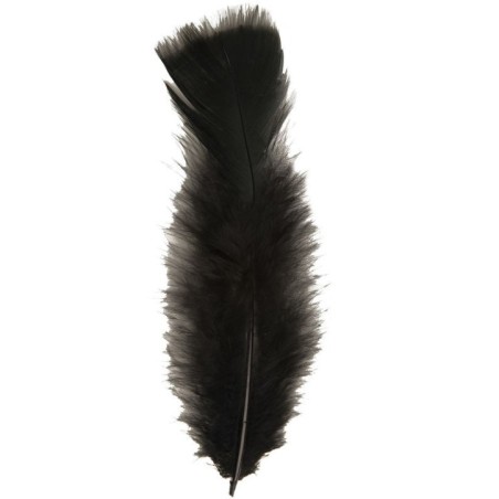 Plumas negras de 10 cm 50 unidades 8003558049707 0497B