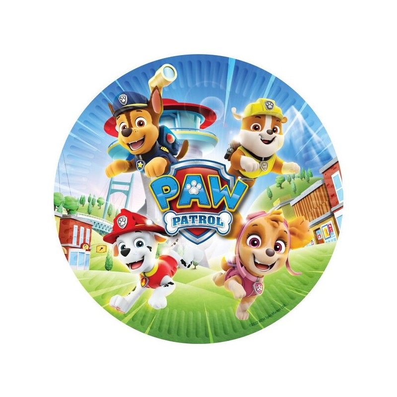 Platos Patrulla Canina cumpleaños 8 uds 23 cm
