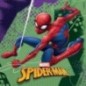 Servilletas spiderman para cumpleaños 20 uds de 33x33 cm