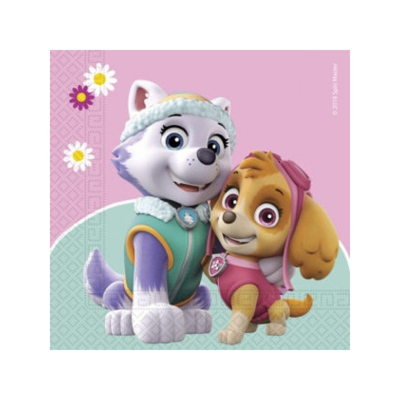 Servilletas Patrulla Canina Sky 20 uds