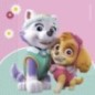 Servilletas Patrulla Canina Sky 20 uds