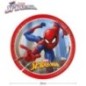 Platos Spiderman cumpleaños 6 uds 23 cm
