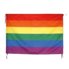 bandera orgullo lgtbi barata 100 x 70 cm T 33 CO 8435525837732
