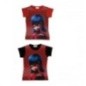 Zamiseta ladybug manga corta tallas infantil