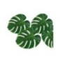 Hojas planta tropical 4 uds