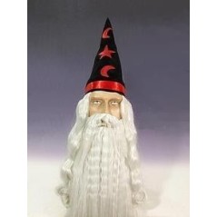 Peluca mago con sombrero 13854 8435118202909