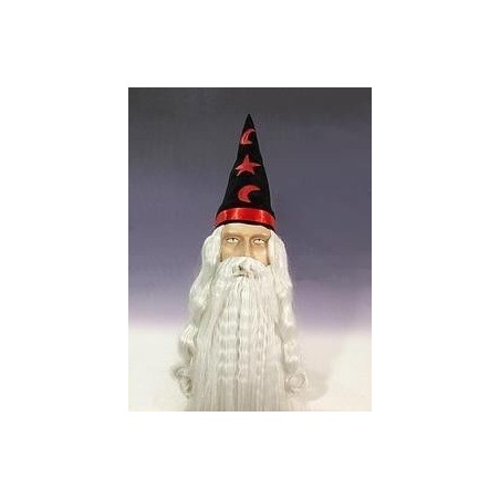 Peluca mago con sombrero 13854 8435118202909