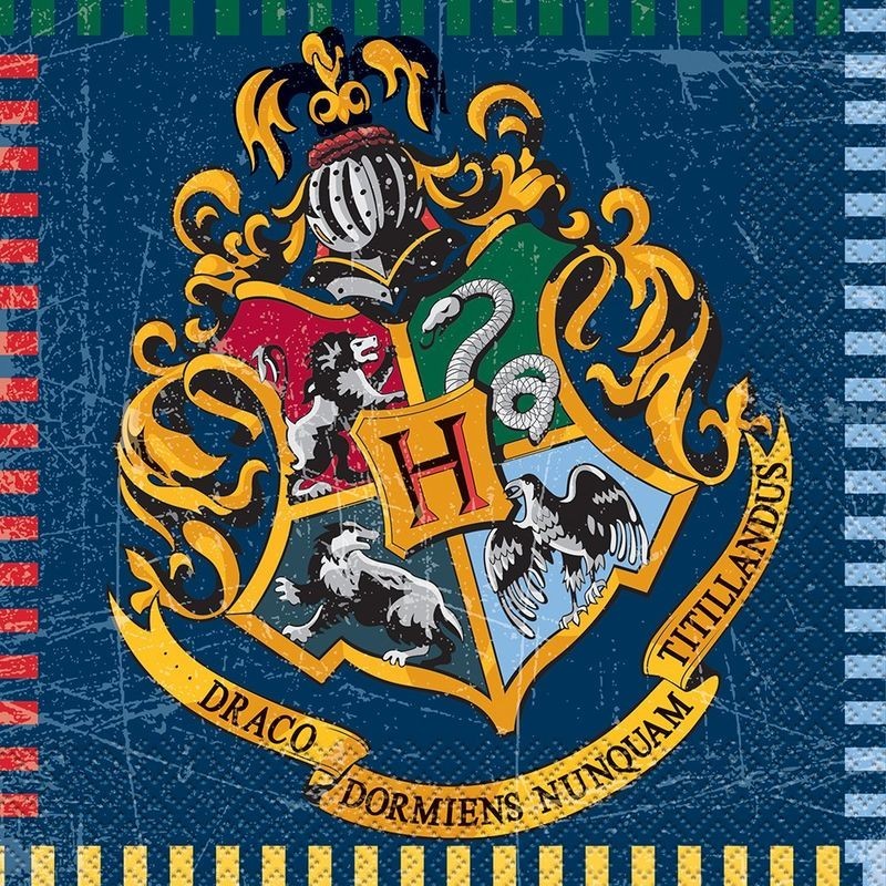 Servilletas harry potter para cumpleaños 16 uds