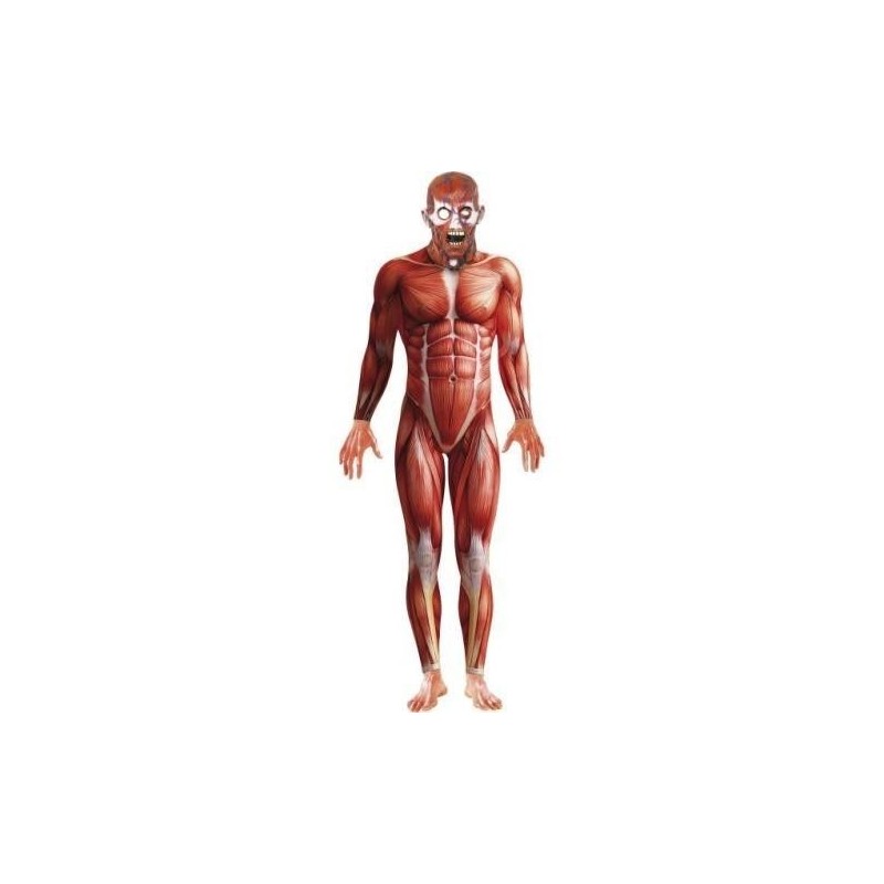 Disfraz anatomia cuerpo humano tallas