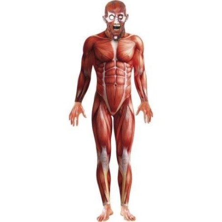 disfraz anatomia cuerpo humano hombre talla l
