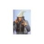 Sombrero brujo 6789 w