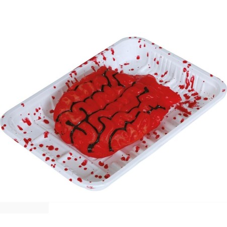 cerebro en bandeja 19x13 cm