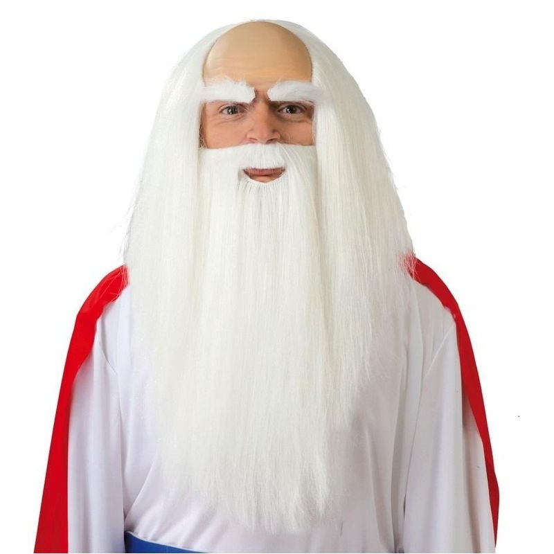 Peluca y barba druida panoramix sabio