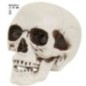Calavera craneo con mandibula movil 12 cm decoracion halloween
