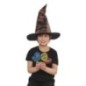 Sombrero Harry Potter seleccionador orignal