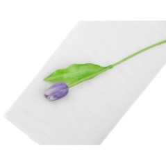 Tul Blanco 10 metros x 1