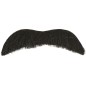 Bigote negro policia