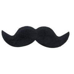 Bigote negro-El Informal Santander