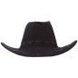 Sombrero vaquero ante negro