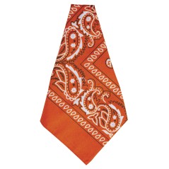 Pañuelo vaquero naranja-El Informal Santander