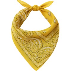 Pañuelo vaquero amarillo-El Informal Santander