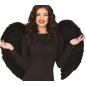 Alas negras plumas 80x60 cm angel negro