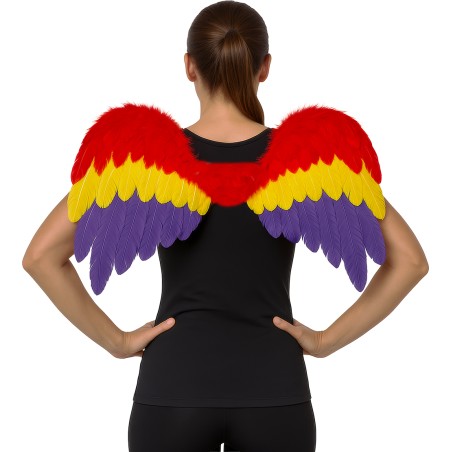 Alas plumas multicolor arco iris orgullo 80x50 cm