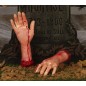 Mano descuartizada 32 cm decoracion halloweeen