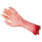 Mano descuartizada 32 cm decoracion halloweeen