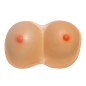 Pechos o senos tetas de latex