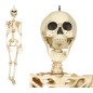 Esqueleto 90 cms halloween