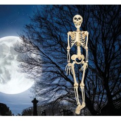 Esqueleto 90 cms halloween