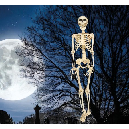 Esqueleto 90 cms halloween