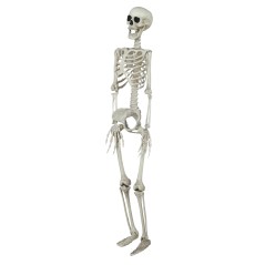Esqueleto 90 cms halloween-El Informal Santander