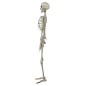 Esqueleto 90 cms halloween