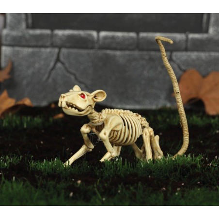 Esqueleto de rata 20 cms