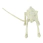 Esqueleto de rata 20 cms