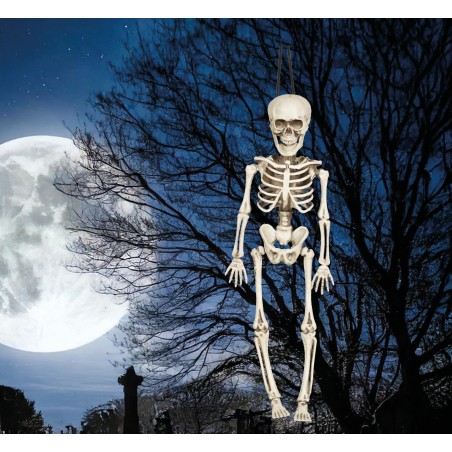 Esqueleto 40 cms halloween