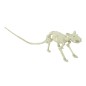 Esqueleto de rata 20 cms