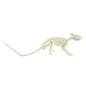Esqueleto de rata 20 cms