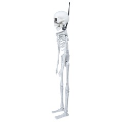 Esqueleto 40 cms halloween-El Informal Santander