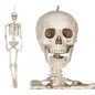 Esqueleto 160 cms halloween