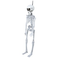 Esqueleto 40 cms halloween-El Informal Santander