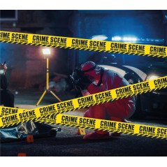 Cinta seguridad Crime Scene 6 metros x 12 cm-El Informal Halloween