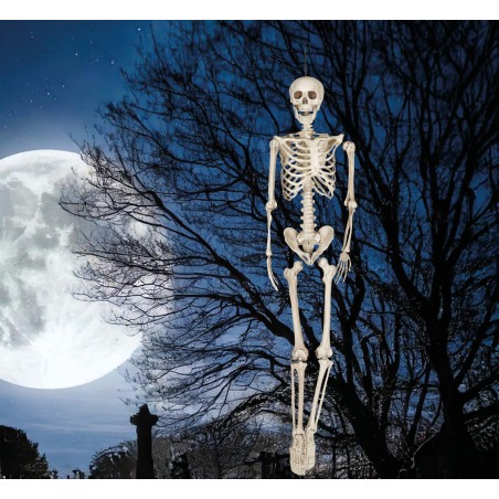 Esqueleto 160 cms halloween
