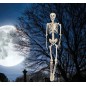 Esqueleto 160 cms halloween