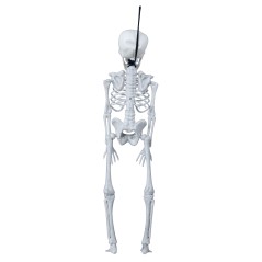 Esqueleto 40 cms halloween-El Informal Santander
