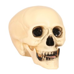 Calavera 20 cm craneo decoracion halloween-El Informal Santander