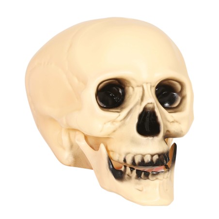 Calavera 20 cm craneo decoracion halloween-El Informal Santander